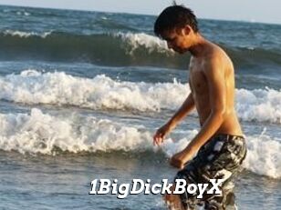 1BigDickBoyX