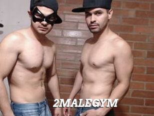 2MALEGYM