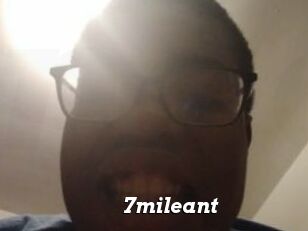 7mileant