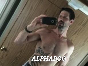 ALPHADOG