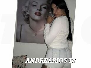 ANDREARIOS_TS