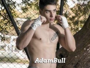 AdamBull