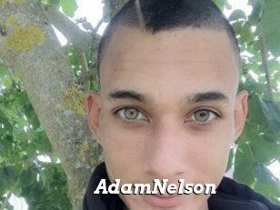 Adam_Nelson