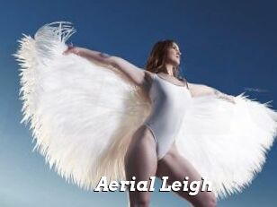 Aerial_Leigh