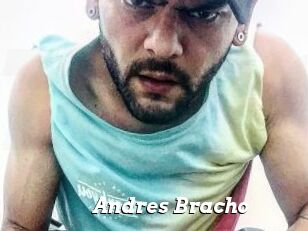 Andres_Bracho