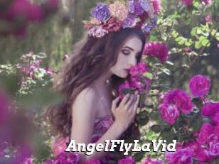 AngelFlyLaVid