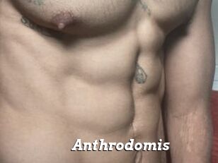 Anthrodomis