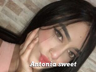 Antonia_sweet