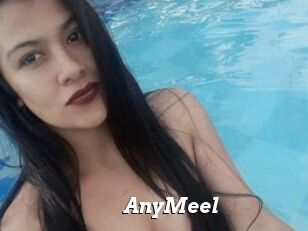 AnyMeel