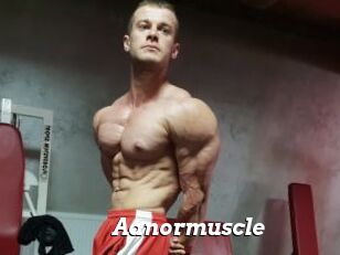 Aanormuscle