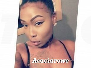 Acacia_rowe