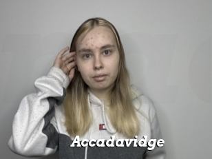 Accadavidge