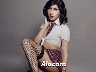 Alacam