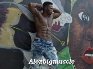 Alexbigmuscle