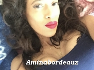 Aminabordeaux