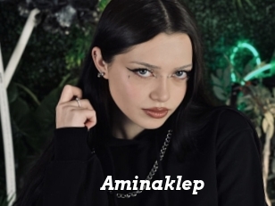 Aminaklep