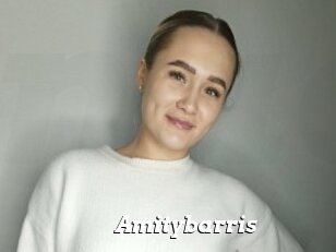 Amitybarris