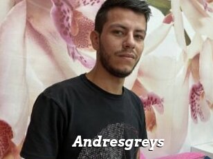 Andresgreys