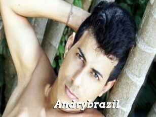 Andrybrazil