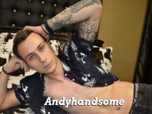 Andyhandsome