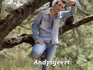 Andysgeert