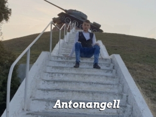 Antonangell