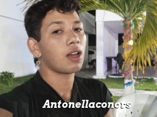 Antonellaconors