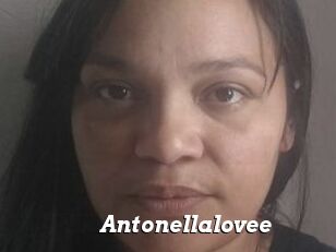 Antonellalovee