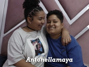 Antonellamaya