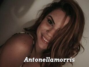 Antonellamorris