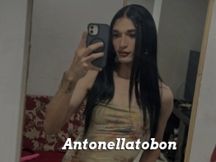 Antonellatobon