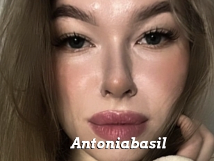 Antoniabasil