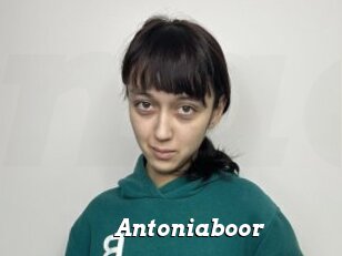 Antoniaboor