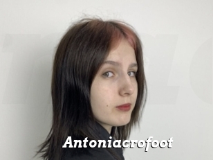 Antoniacrofoot