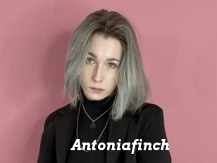 Antoniafinch