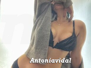 Antoniavidal