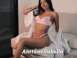 Anttonellabella