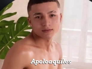 Apoloaquiles