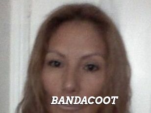 BANDACOOT