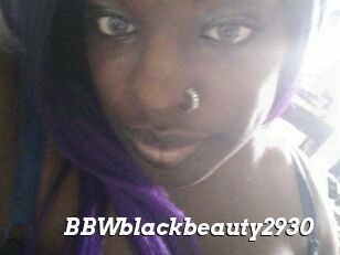 BBWblackbeauty2930