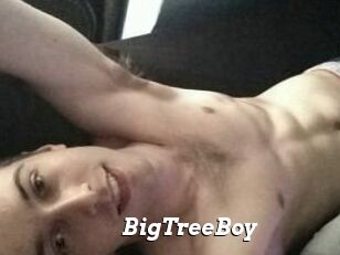 BigTreeBoy