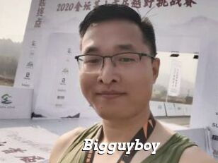 Bigguyboy