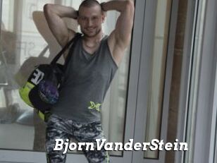 BjornVanderStein