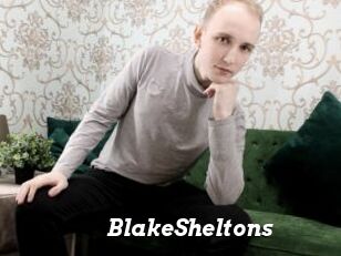 BlakeSheltons