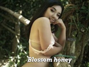 Blossom_honey