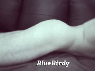 BlueBirdy