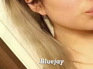 Blue_jay