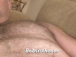 Bobsistheone