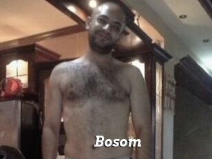 Bosom