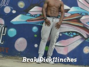 Brak_Dick11inches